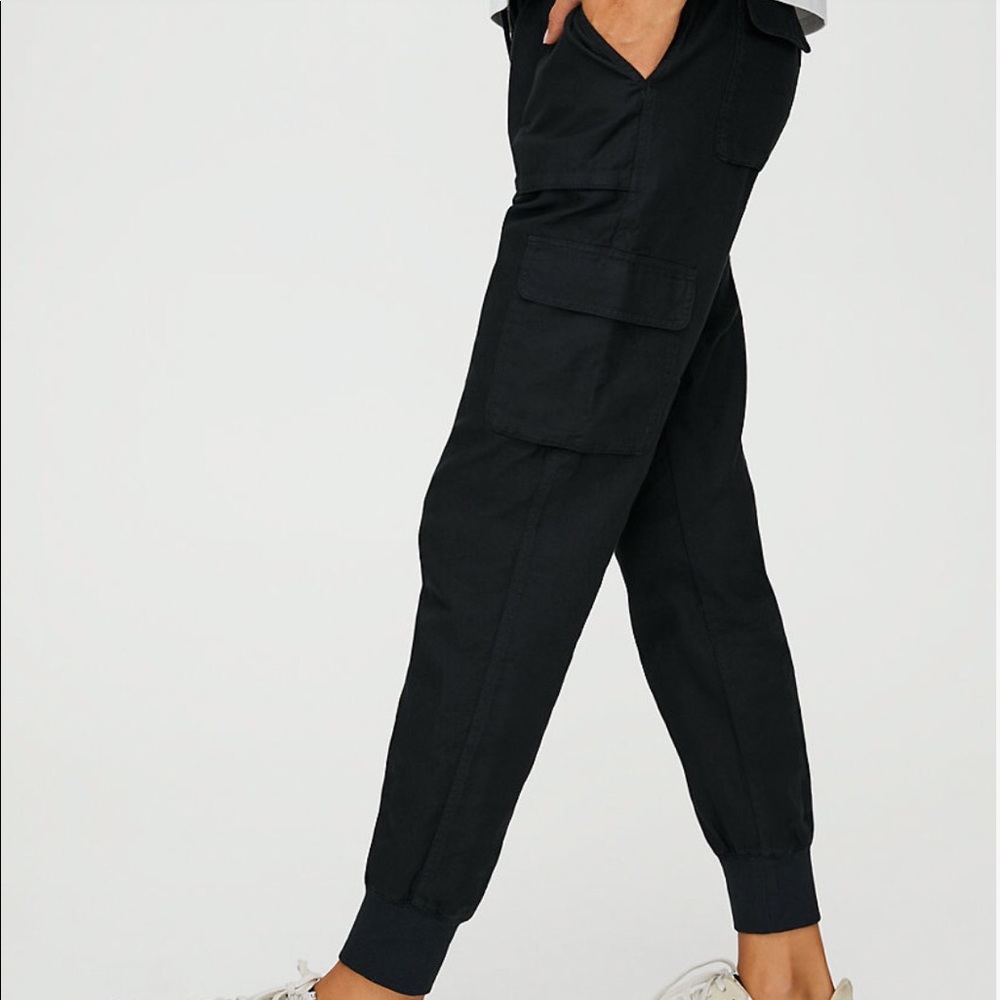 Community (aritzia) jogger